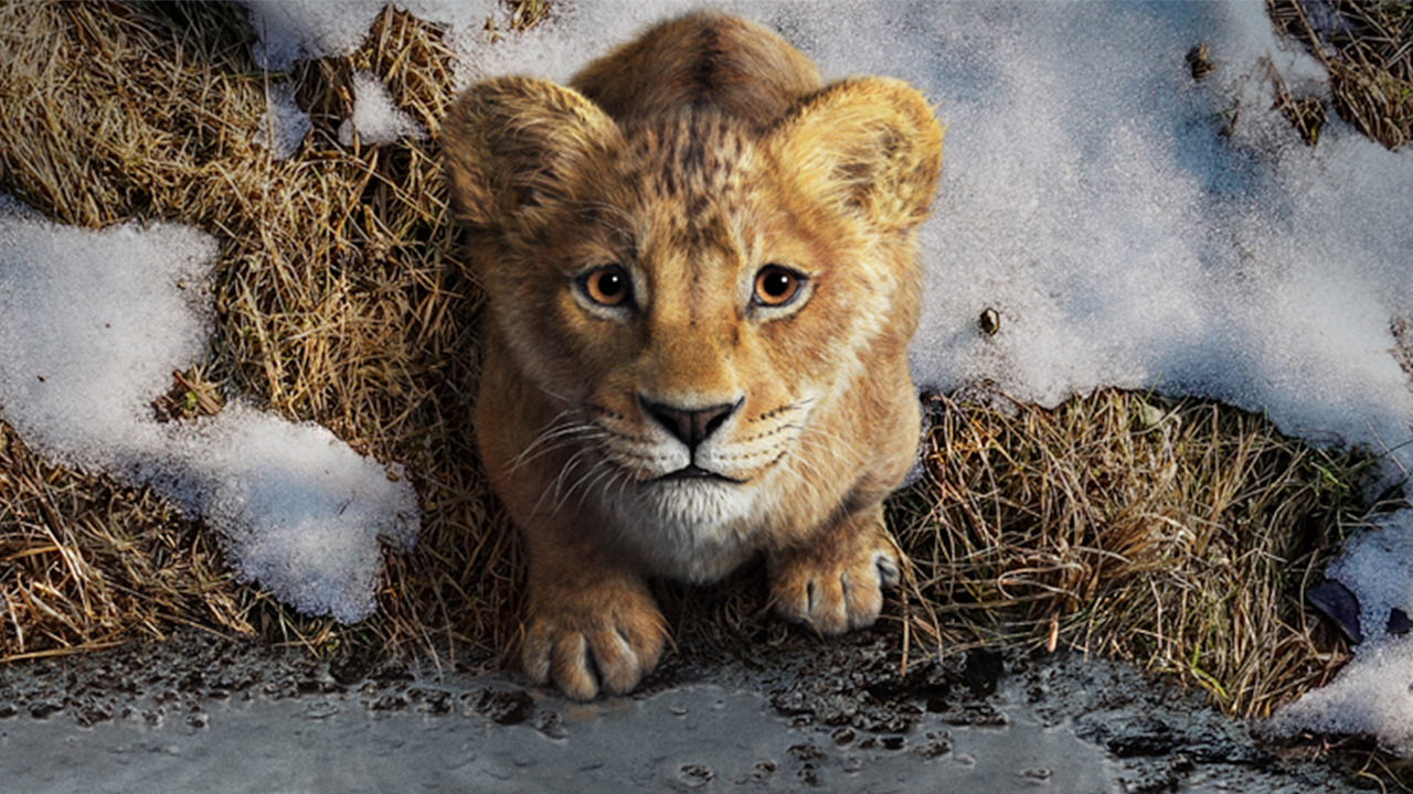 Disney kỷ niệm 30 năm The Lion King với đoạn Sneak Peek mới về 'Mufasa'