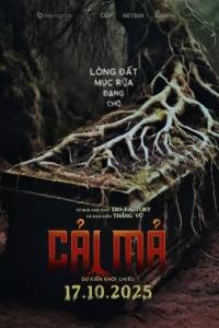Cải Mả